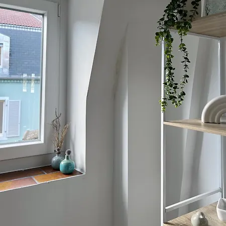 Studio Pain D'epices Appartement Mulhouse